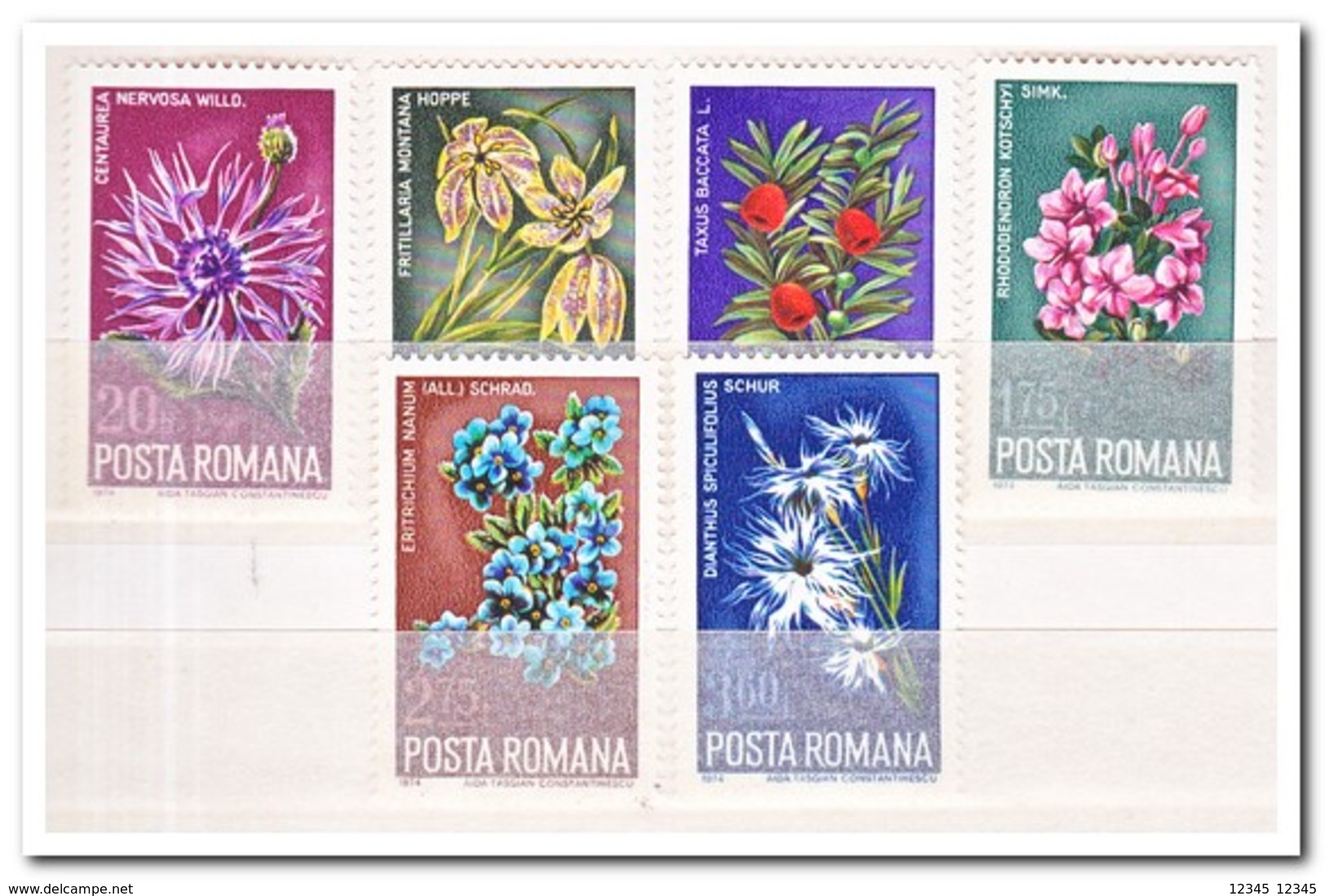 Roemenië 1974, Postfris MNH, Flowers - Unused Stamps