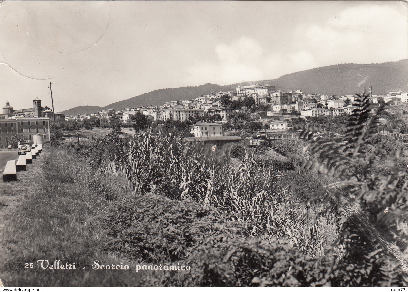 VELLETRI  /  Scorcio Panoramico _ Viaggiata - Velletri