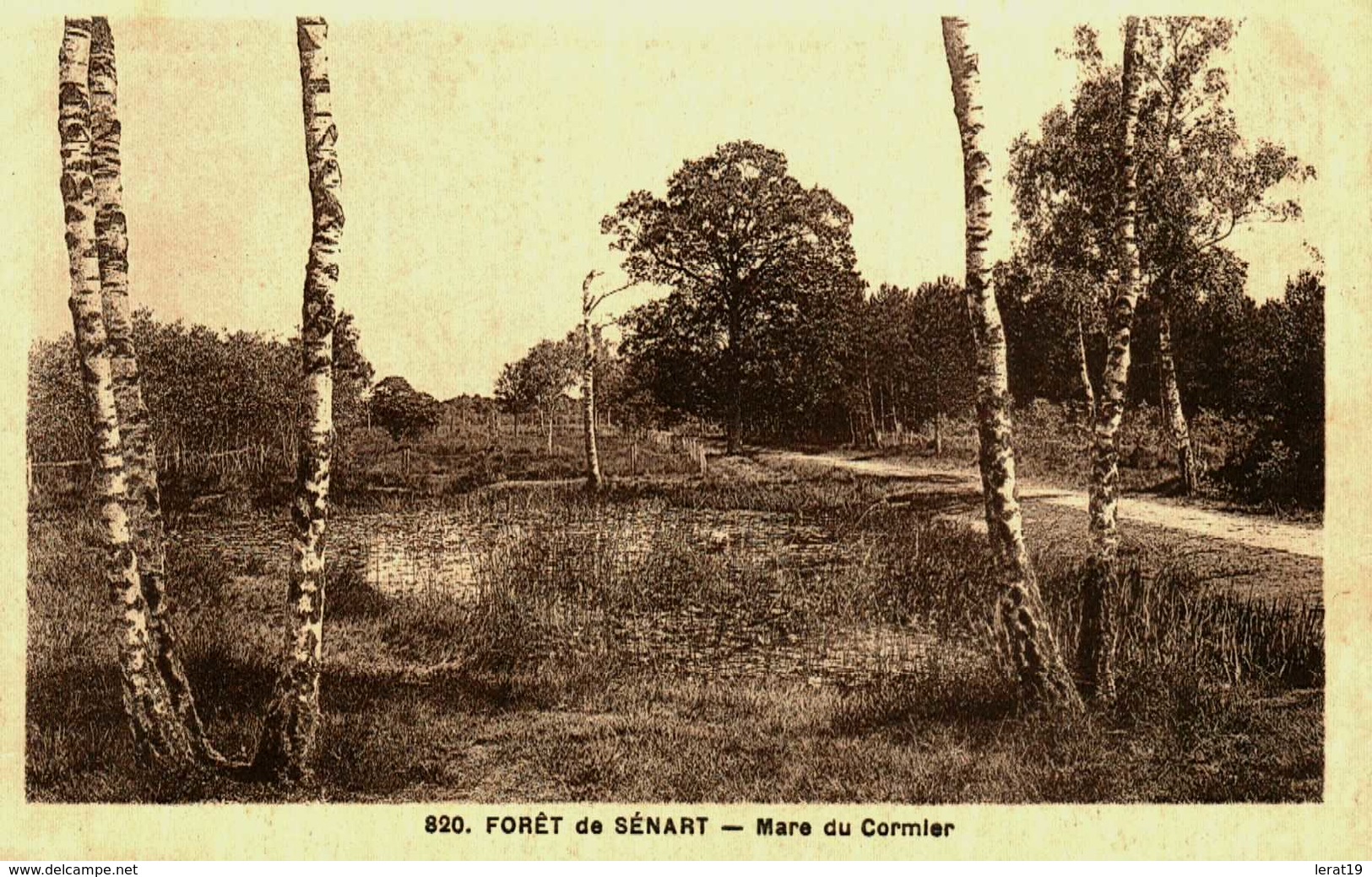 91....essonne...montgeron....foret De Senart...mare Du Cormier - Autres & Non Classés