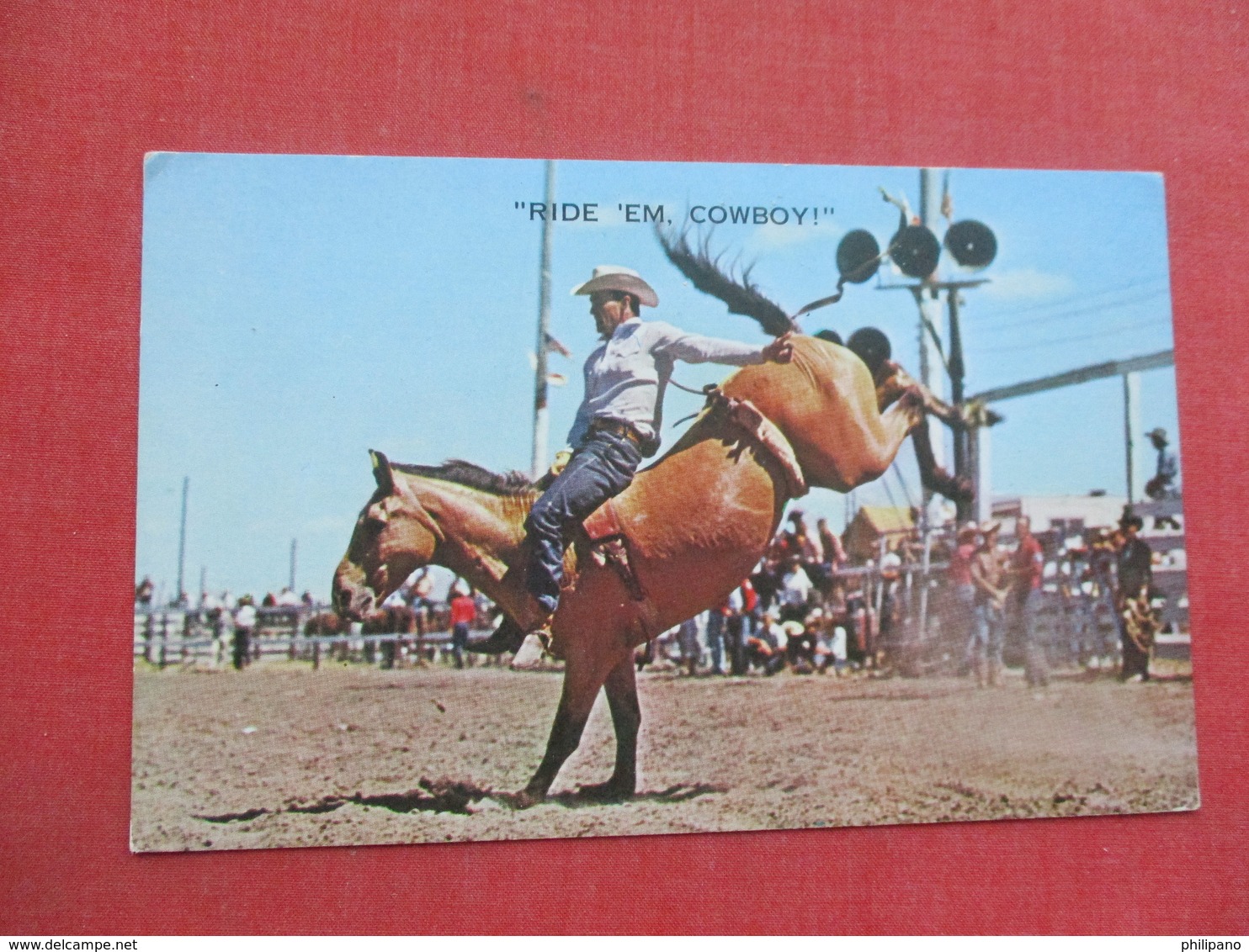Ride Em Cowboy !  >> Ref 3378 - Pferde
