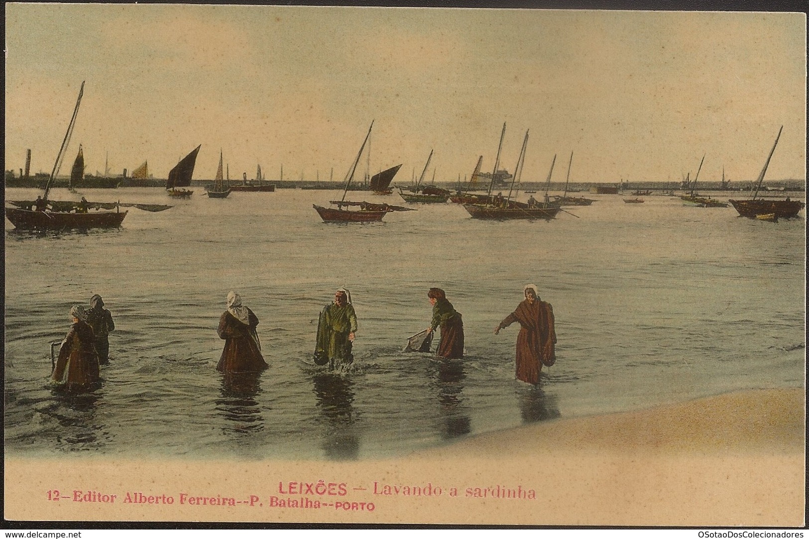 Postal Portugal - Porto - Leixões - Lavando A Sardinha - (Ed. Alberto Ferreira, Nº 12) - CPA Bateau Boat - Porto