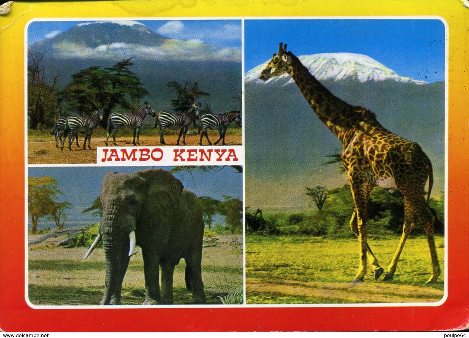 CPM - Vues Diverses De La Faune - Kenya