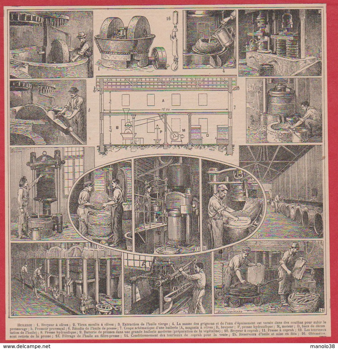 Huilerie. Huile D'olive. Broyeur, Moulin, Pressoir. Illustration Maurice Dessertenne. Larousse 1920 - Sin Clasificación