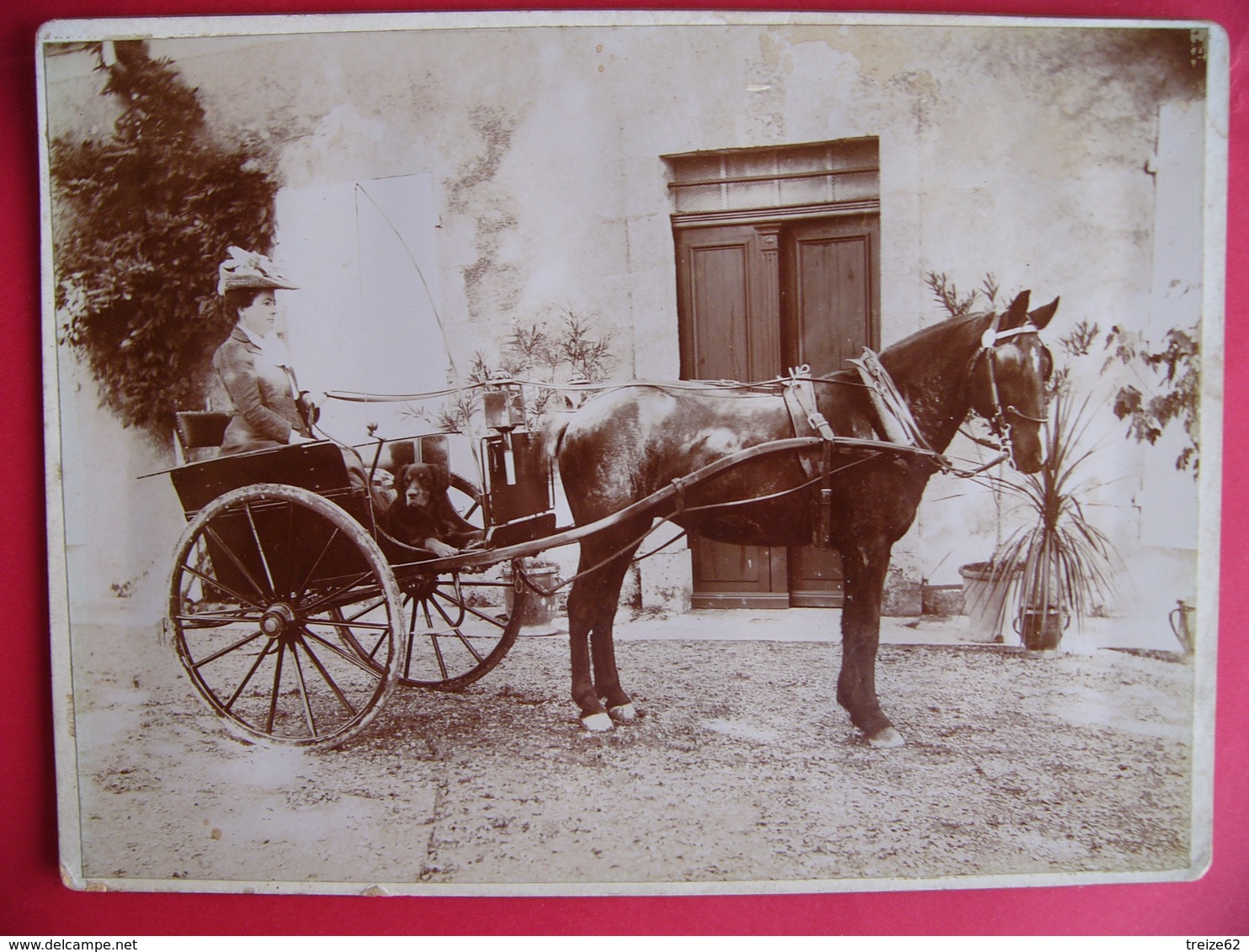 Rare 2 Grandes Photos Condom Gers A. Et E. Naples Maire Et Député Carriole - Old (before 1900)