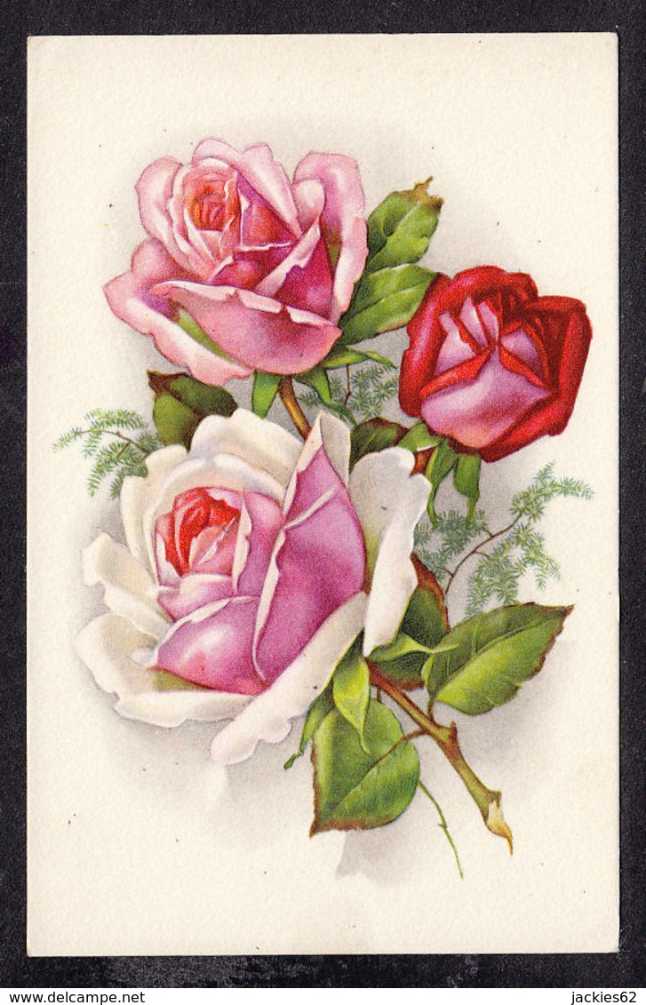 93454/ FLEURS, Illustration, Roses - Fleurs