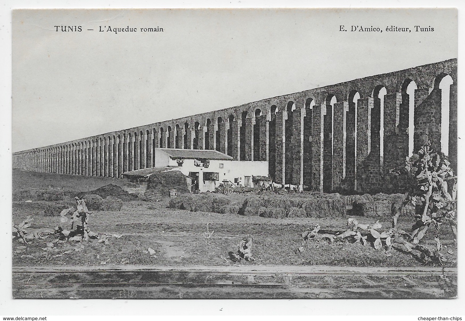 Tunis - L'Aqueduc Romain - Tunisie