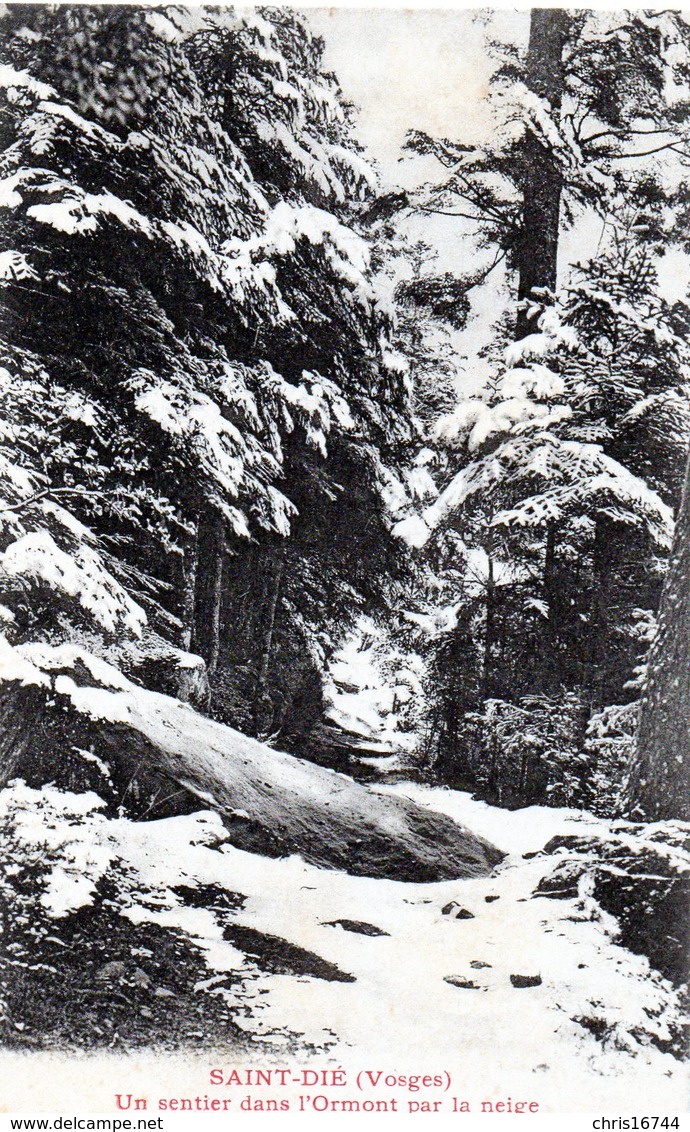 St DIE  Un Sentier Dans L'Ormont Par La Neige - Saint Die