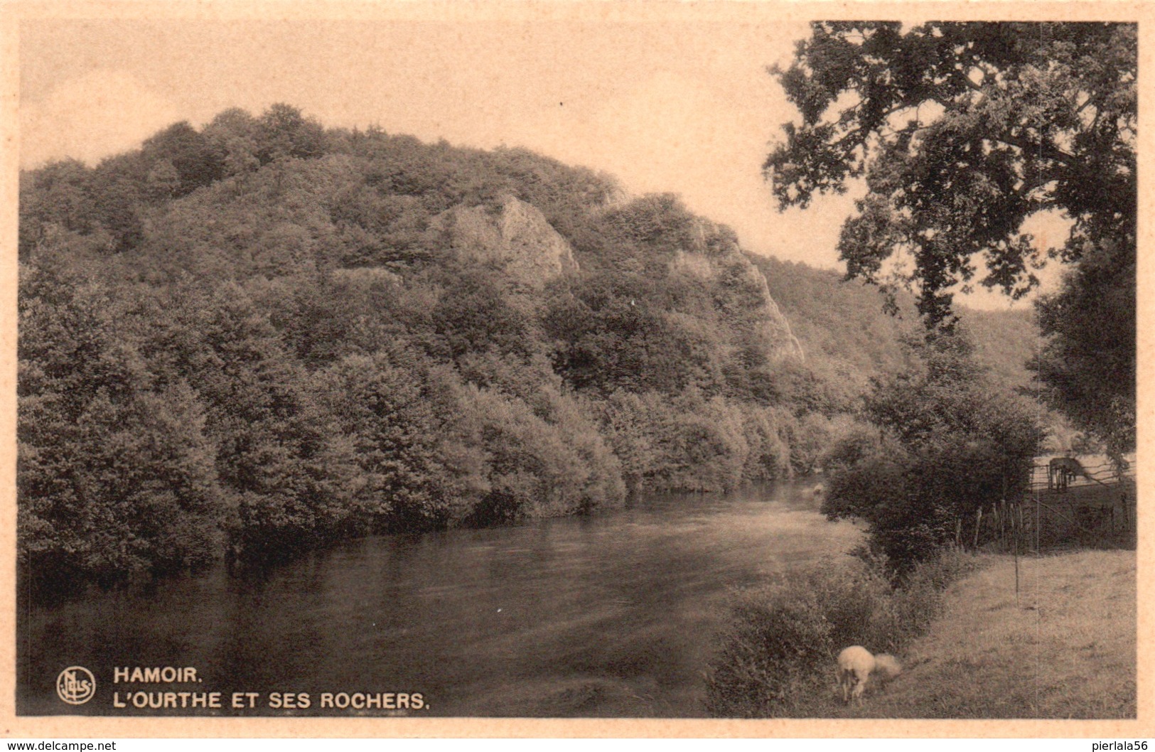 Hamoir - L'Ourthe Et Ses Rochers - Hamoir