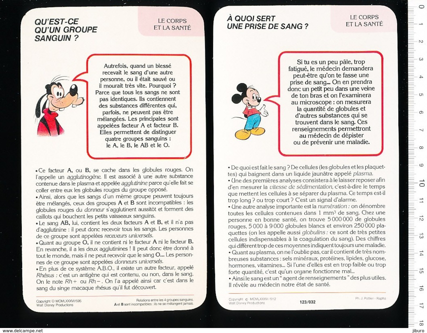 6 Scans / Fiche Disney Humour Lot Thème Coeur Circulation Du Sang Groupe Sanguin Prise De Sang Globules Blancs D37 - Non Classés