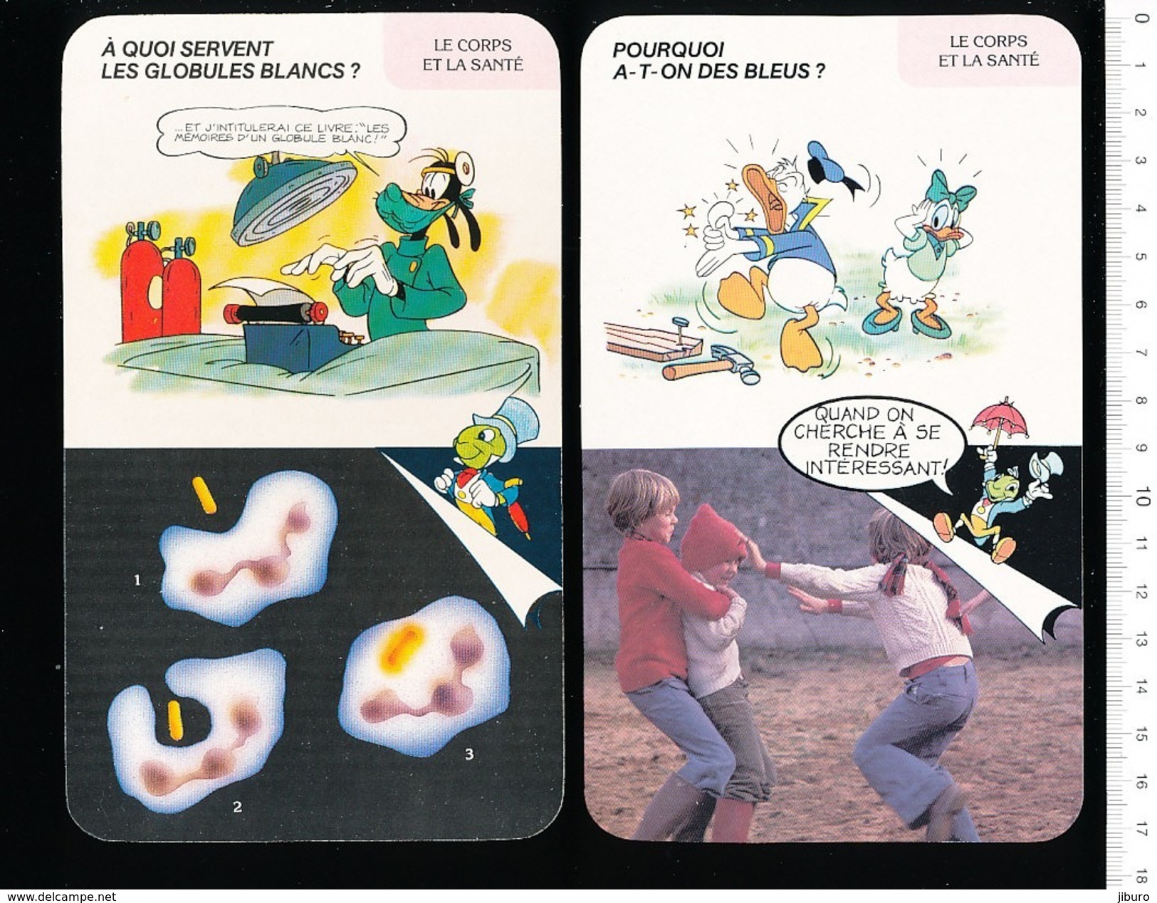 6 Scans / Fiche Disney Humour Lot Thème Coeur Circulation Du Sang Groupe Sanguin Prise De Sang Globules Blancs D37 - Non Classés