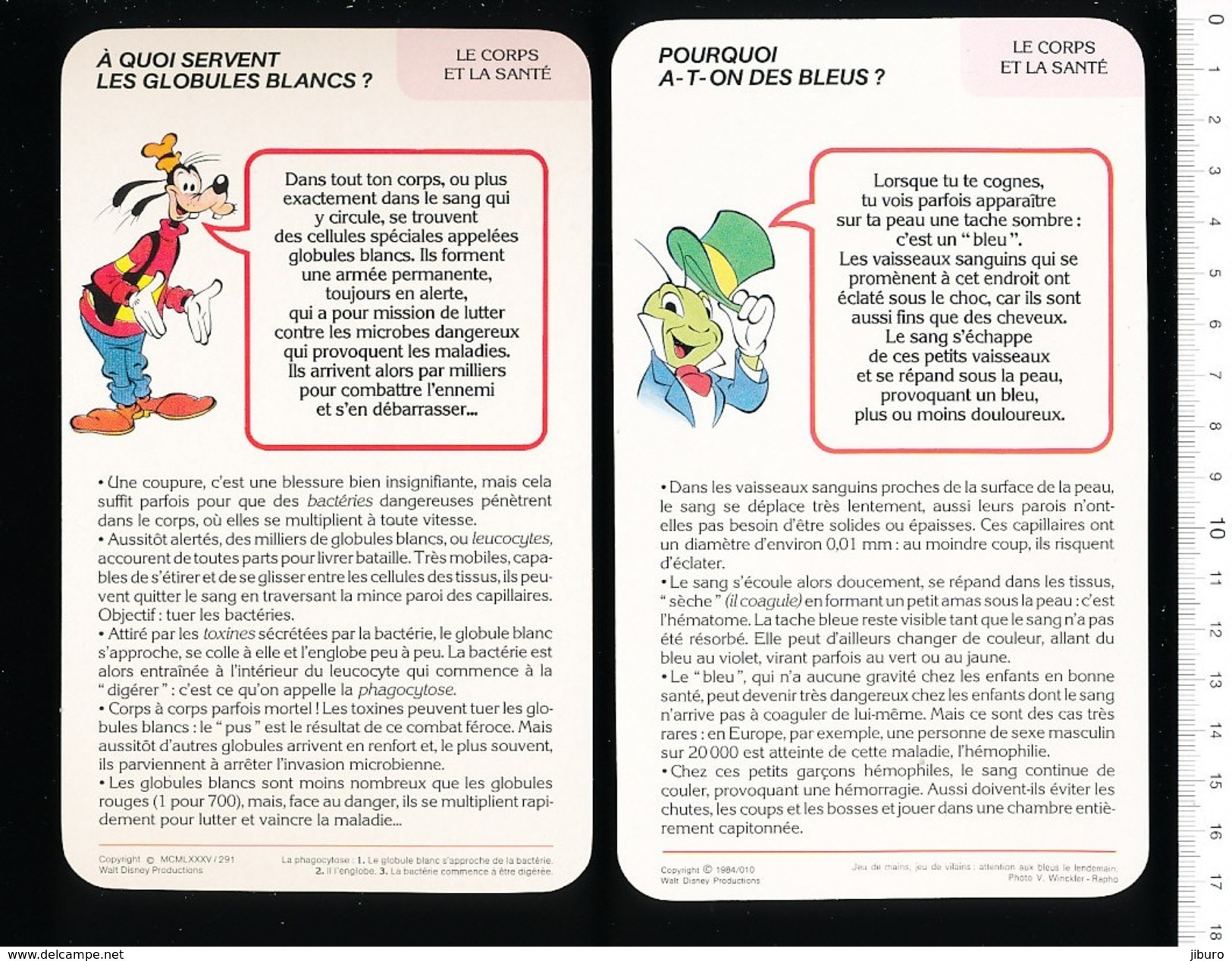 6 Scans / Fiche Disney Humour Lot Thème Coeur Circulation Du Sang Groupe Sanguin Prise De Sang Globules Blancs D37 - Non Classés