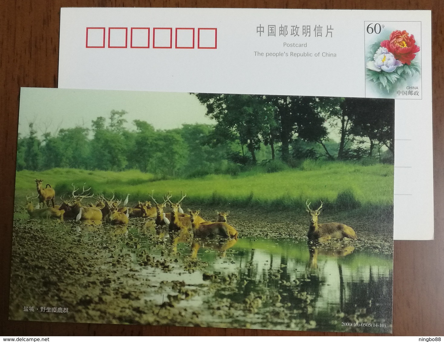 Yancheng Wildlife Pere David’deer,China 2000 Dafeng National Elk Nature Reserve Wetland Advertising Pre-stamped Card - Altri & Non Classificati
