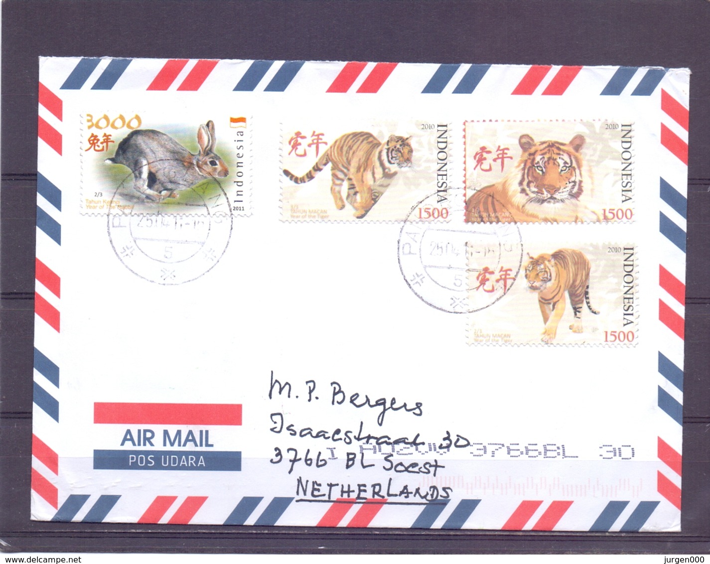 Indonesia - Year Of The Tiger - Paramaribo  (RM13983) - Domestic Cats