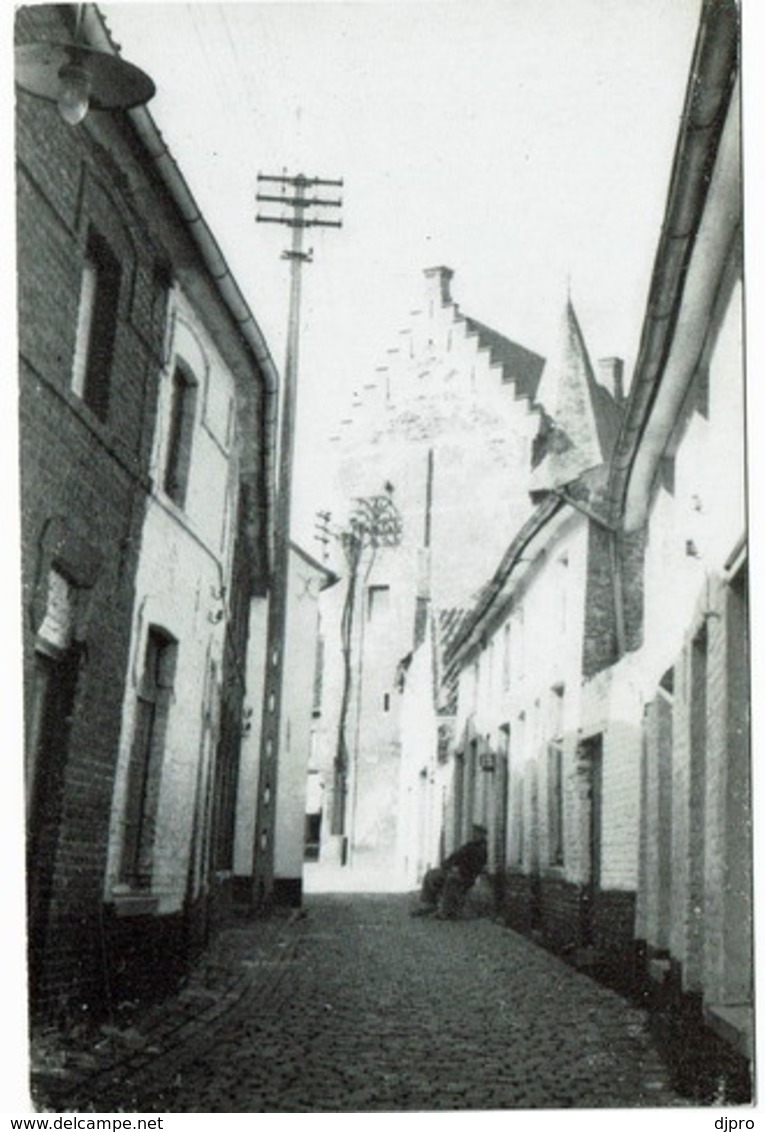 Ninove   Twijndersweg +/- 1945   Reproduc. - Ninove