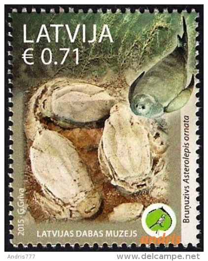 Latvia Lettland Lettonie 2015 (06) Prehistoric Fish - Placodermus - Asterolepis - Fossils - Latvia