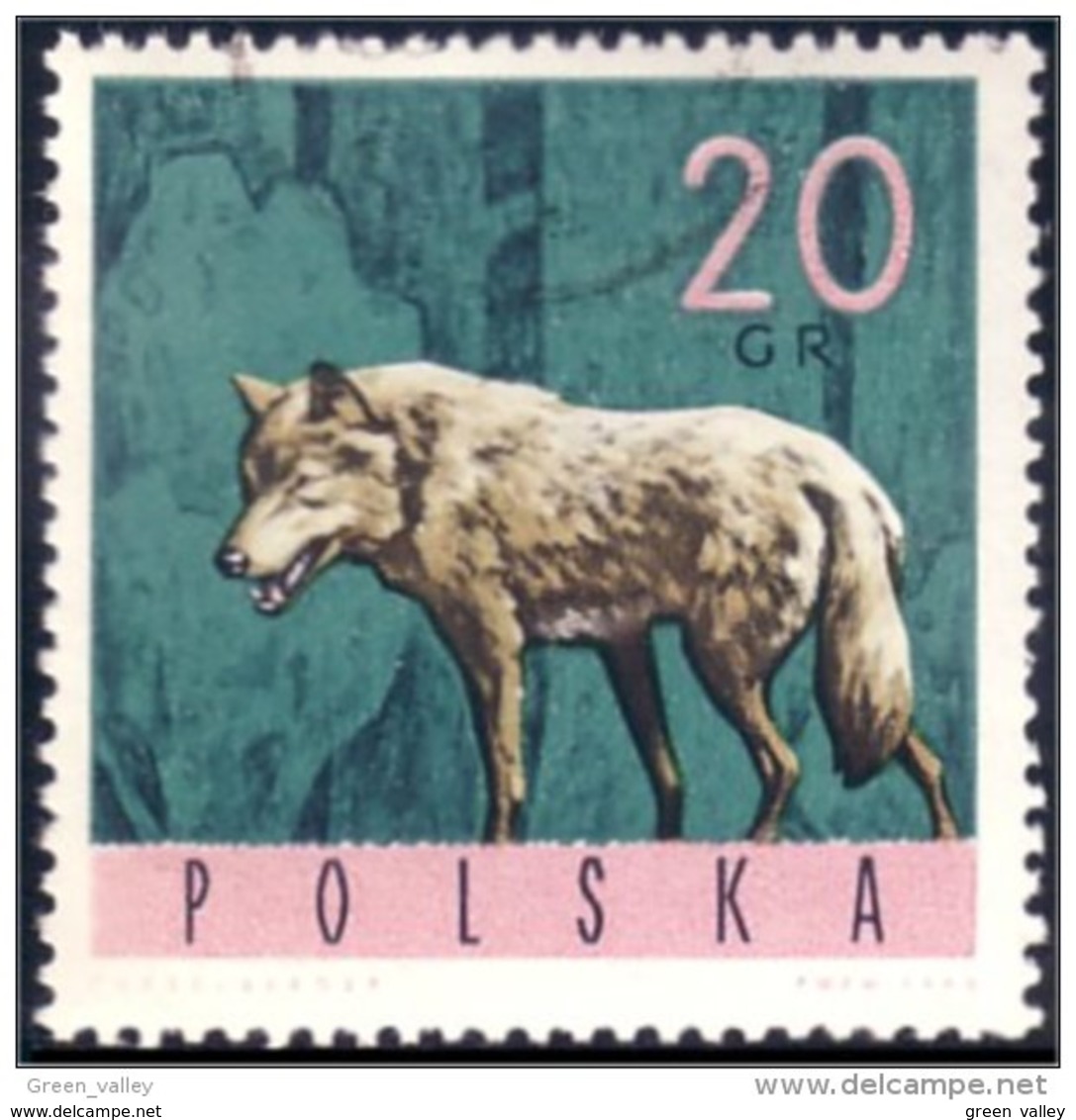 740 Pologne Loup Wolf (POL-91) - Altri & Non Classificati