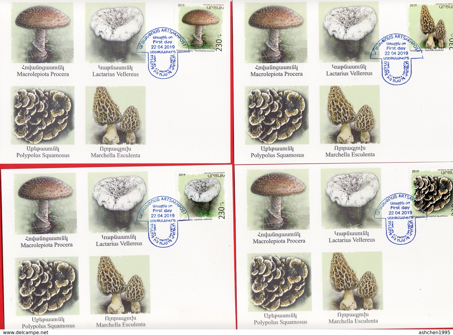 Armenien / Armenie / Armenia / Artsakh / Karabakh 2019, Mushrooms, Flora - Card Maximum - Funghi