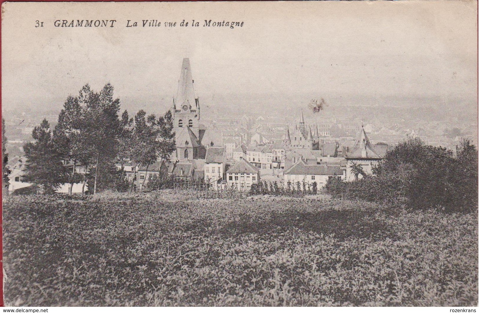 Geraardsbergen Grammont La Ville Vu Vue De La Montagne (In Goede Staat) - Geraardsbergen