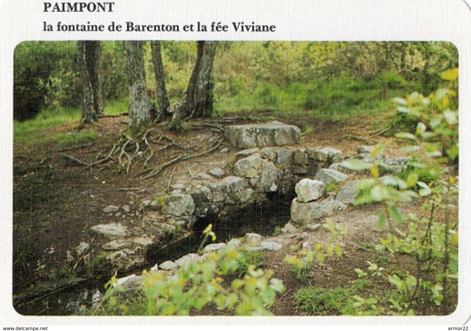 Paimpont Lot De 5 CPM : Légende De Broceliande Miroir Aux Fées Fontaine De Barenton Chevaliers De La Table Ronde - Paimpont