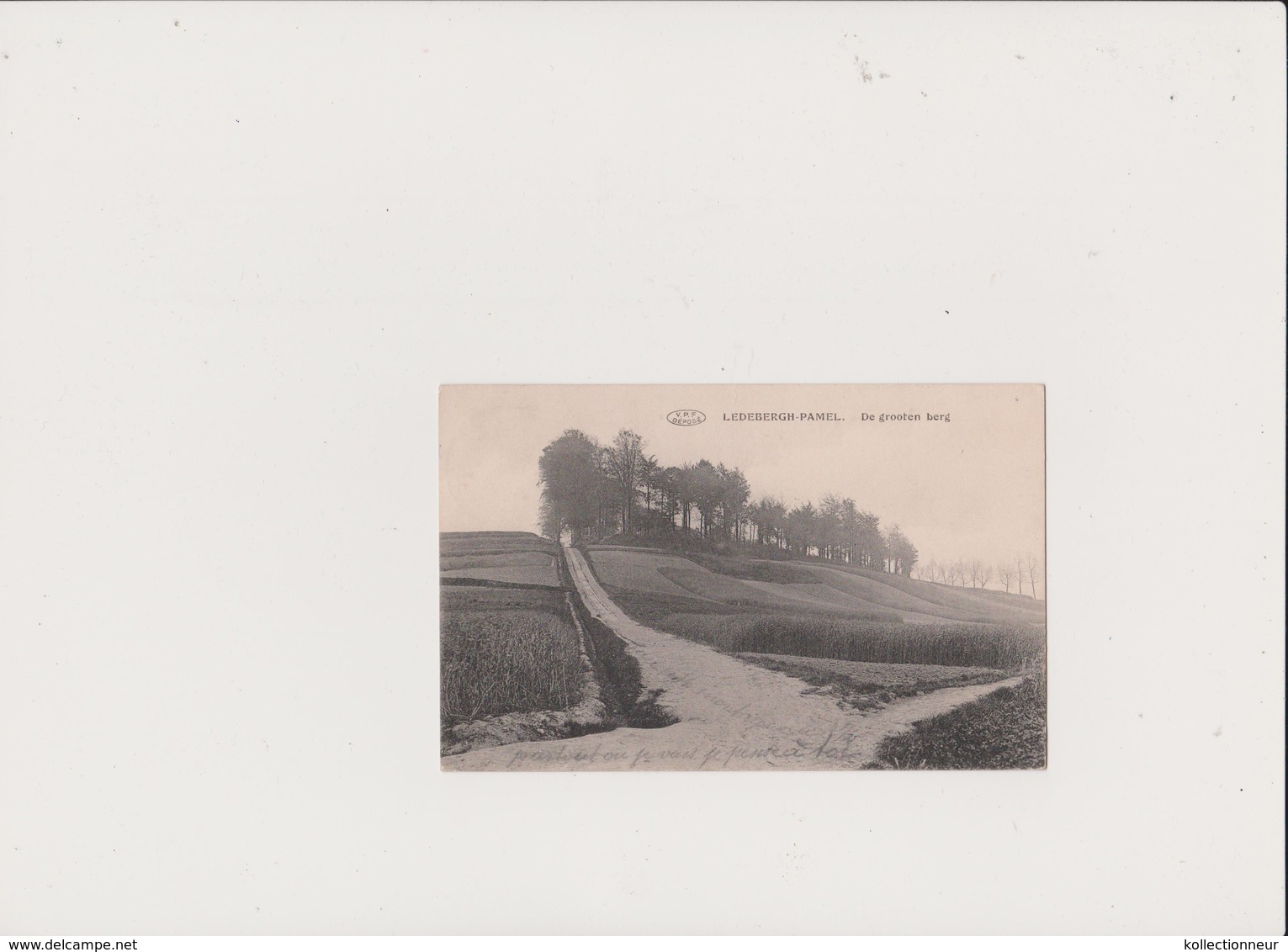 LEDEBERGH - PAMEL - DE GROOTEN BERG - 1919 - Recto-verso - Roosdaal