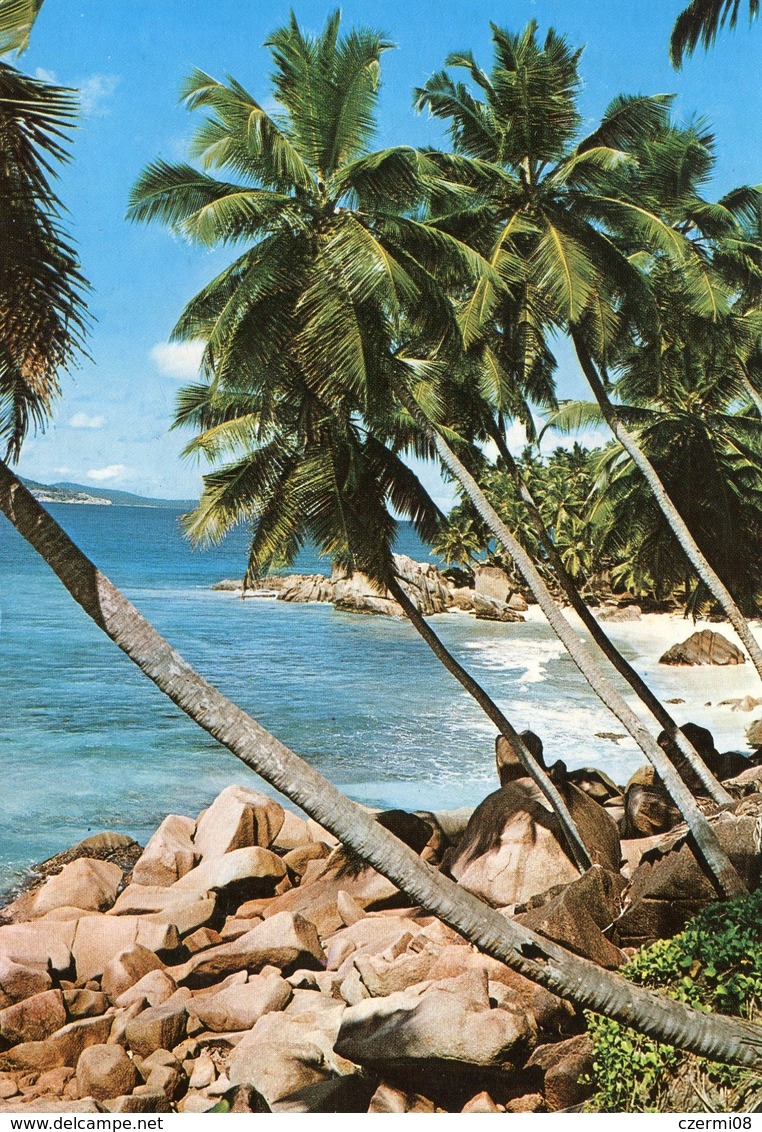 Seychelles - Postcard - Carte Postale - Seychelles (1976-...)