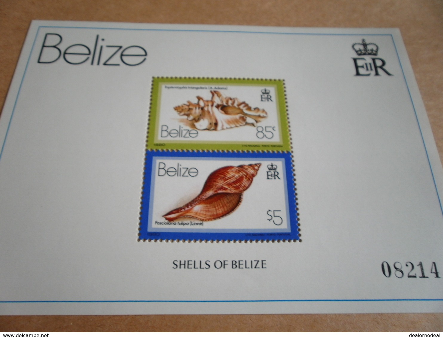 2 X Miniature Sheets Belize Shells Of Belize 1980 - Belize (1973-...)