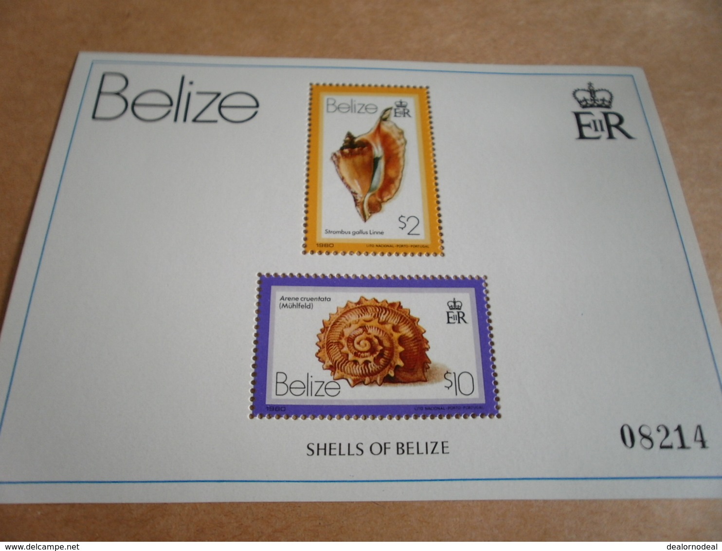 2 X Miniature Sheets Belize Shells Of Belize 1980 - Belize (1973-...)