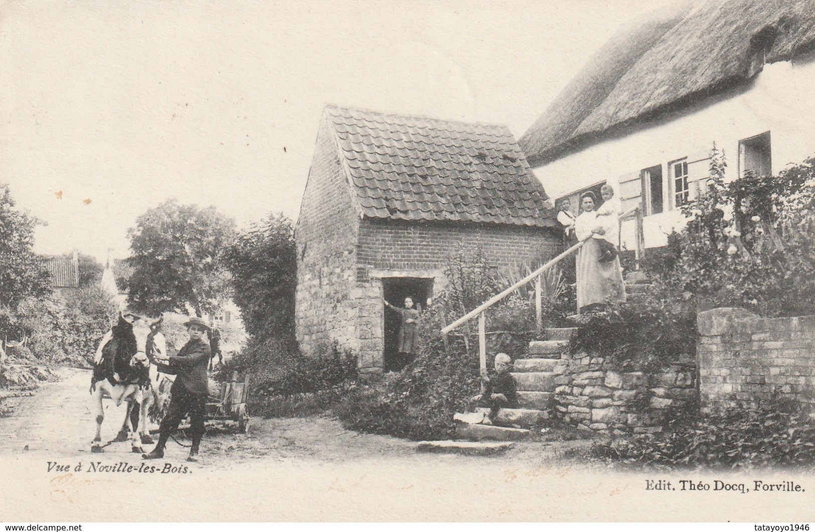 Noville-les-bois Village Circulé En 1905 - Fernelmont