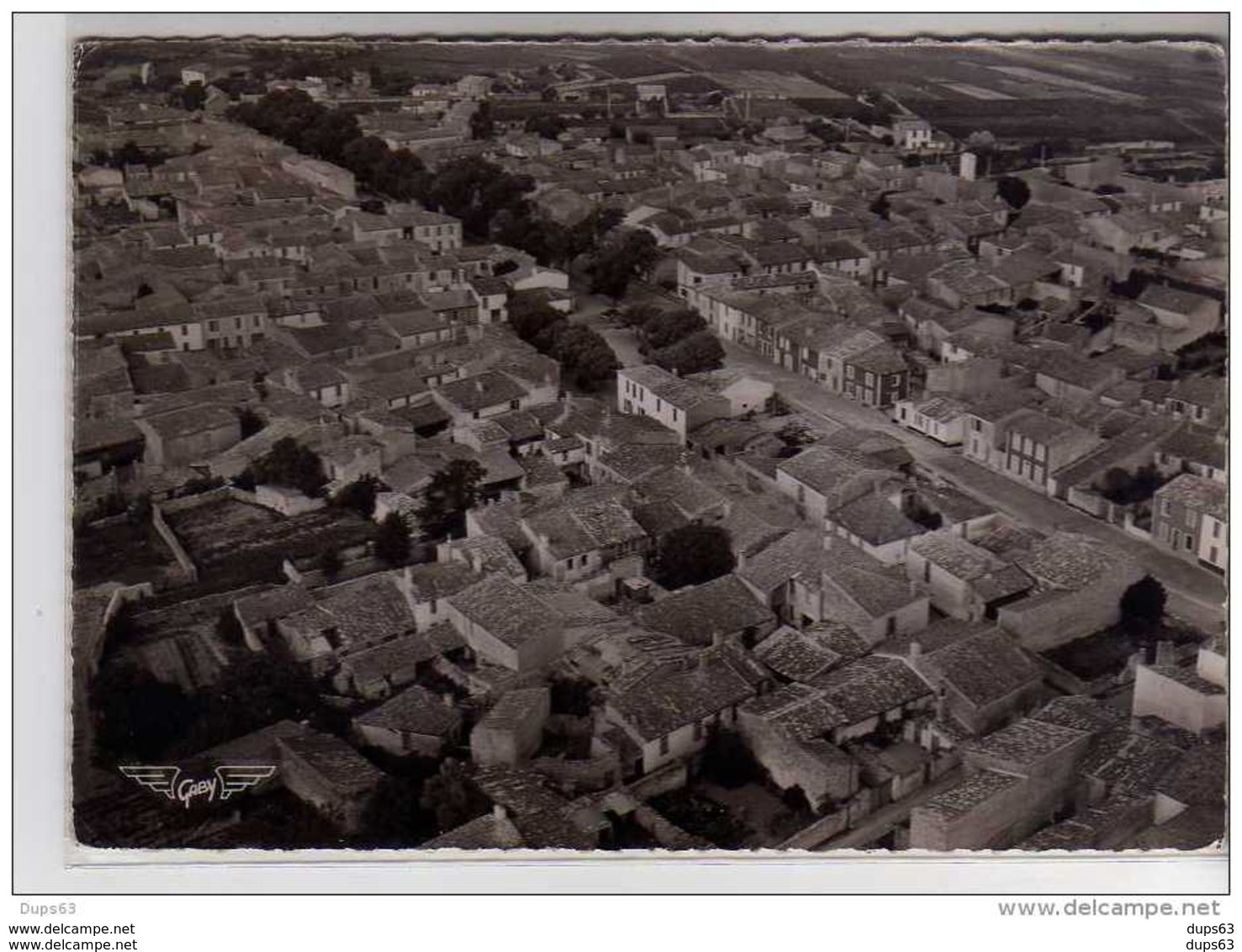 ILE DE RE - Vue Aérienne De La Noue - Très Bon état - Ile De Ré