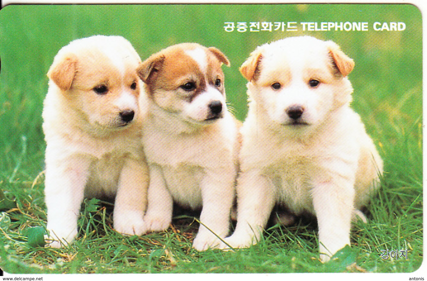 SOUTH KOREA - Dogs(reverse Letter J, W10000), Used - Corea Del Sud