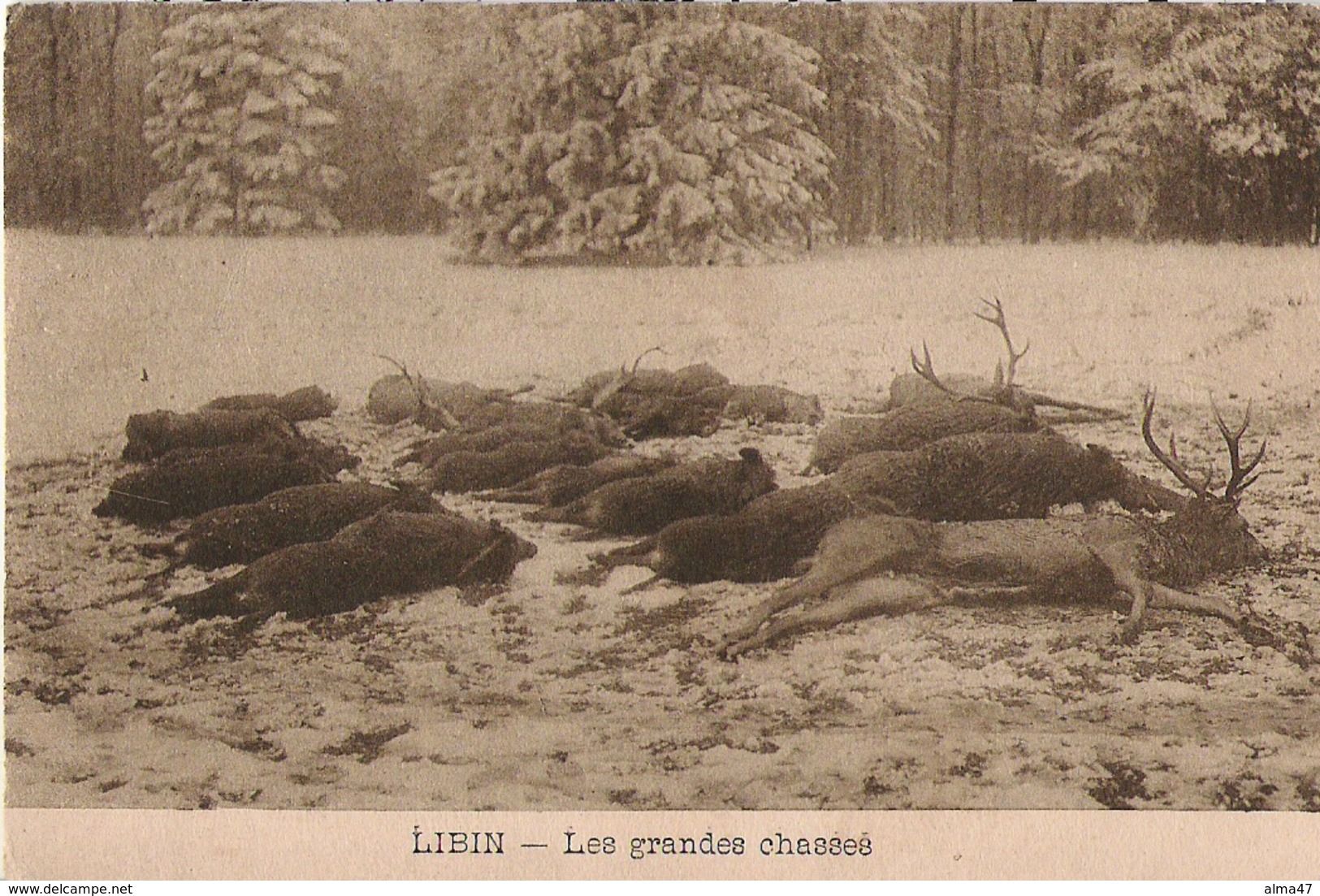 Libin - Les Grandes Chasses - écrite - Photo Duchêne - Libin