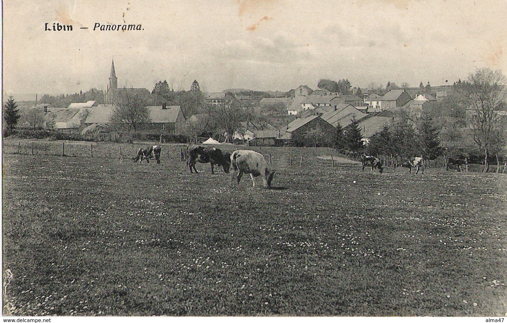 Libin - Panorama - Circulé 1920 - Edit. A. Duchêne, Libin - Libin