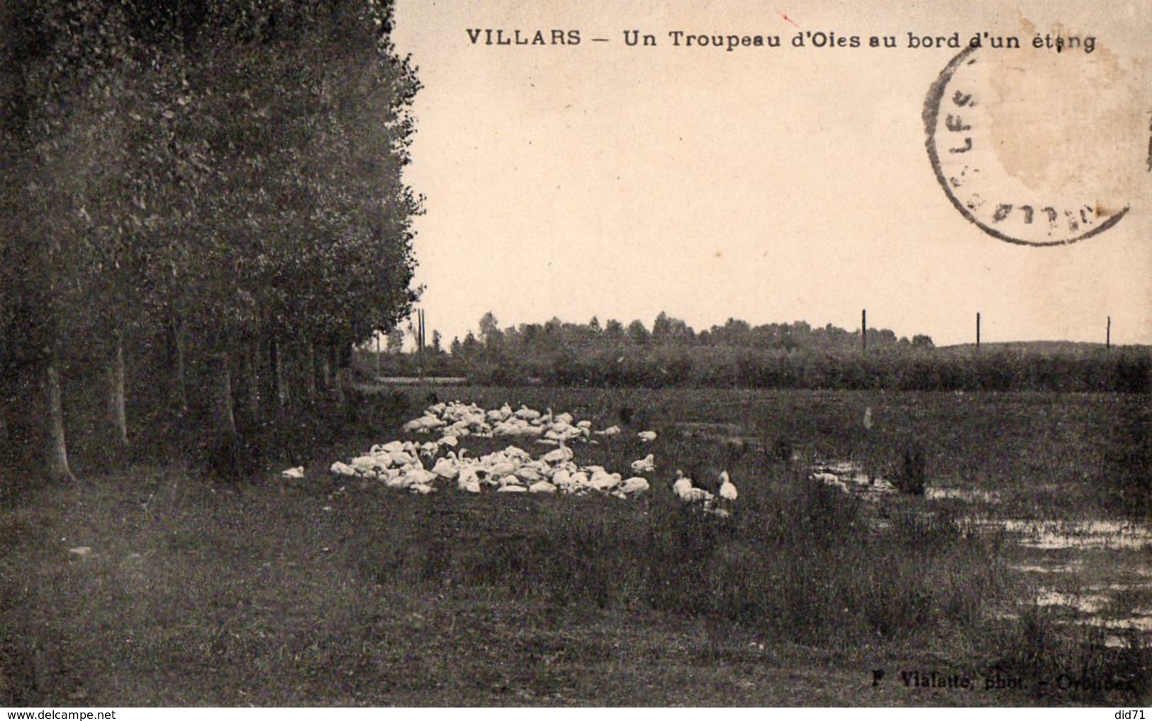 Villars - Un Troupeau D'oies Au Bord D'un étang - Non Classés