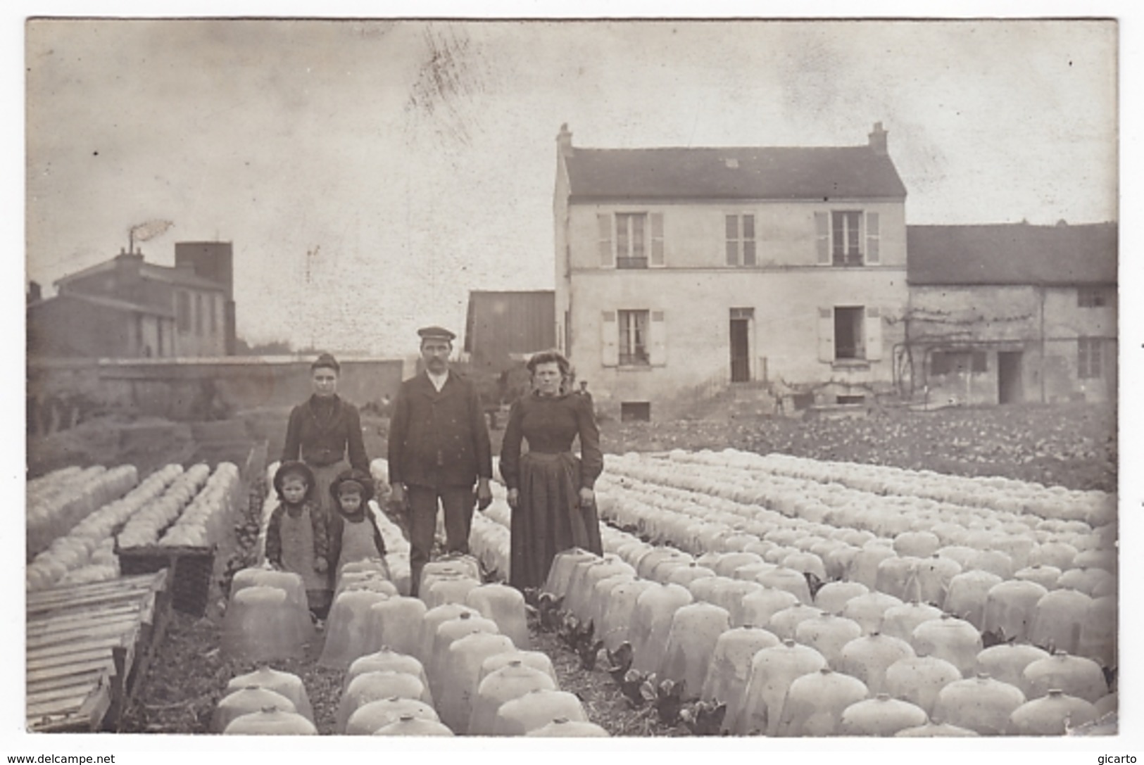 Bobigny  Ou La Plaine St Denis, Chervalier Maraicher - Other & Unclassified