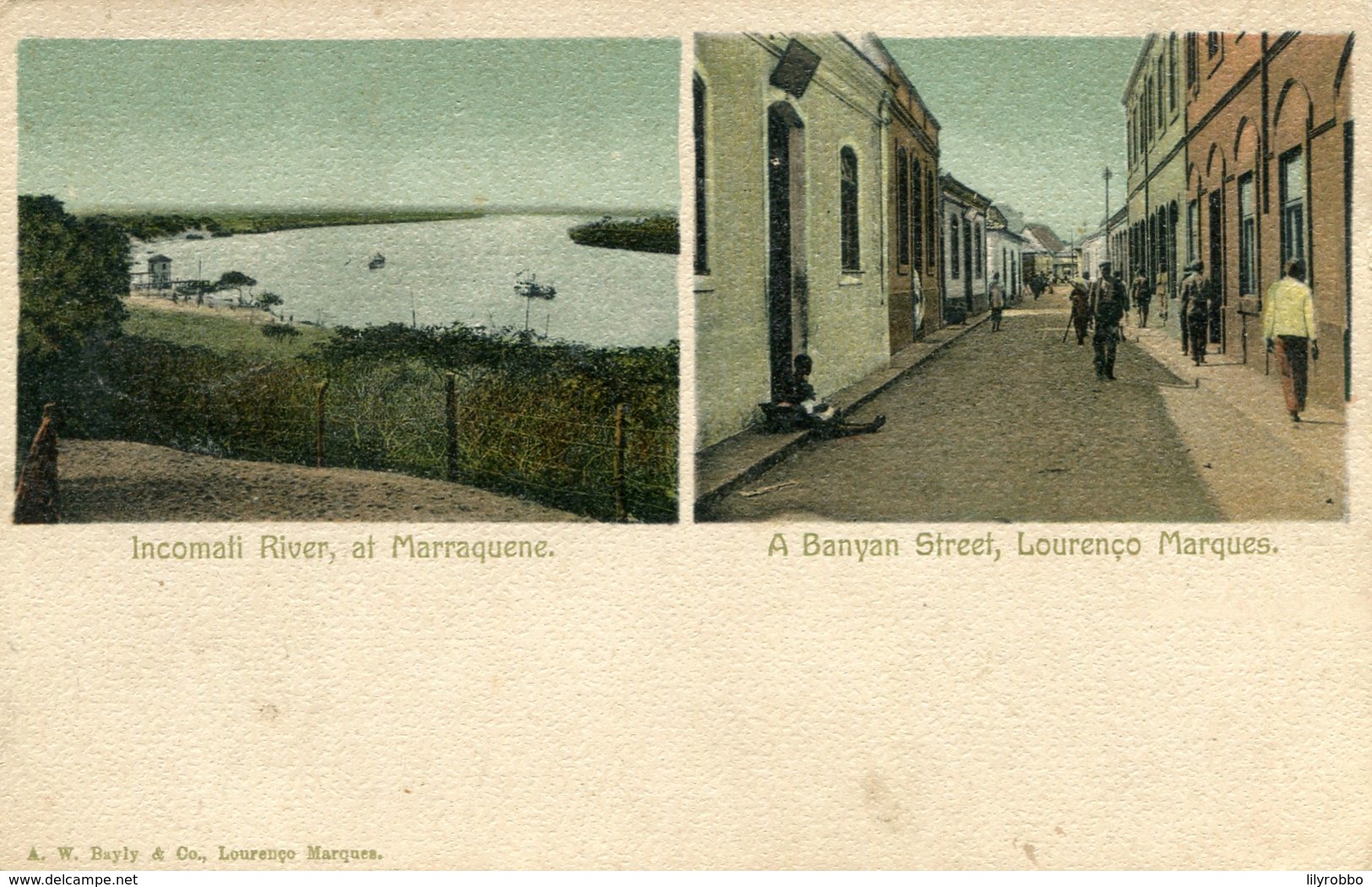 MOZAMBIQUE - Two Views Incomati River & A Banyan Street, Lourenco Marks - Undivided Rear - Mozambique