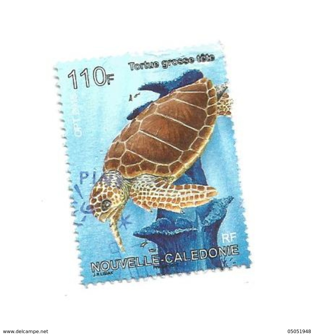 1265  Tortue  (13J) - Gebraucht