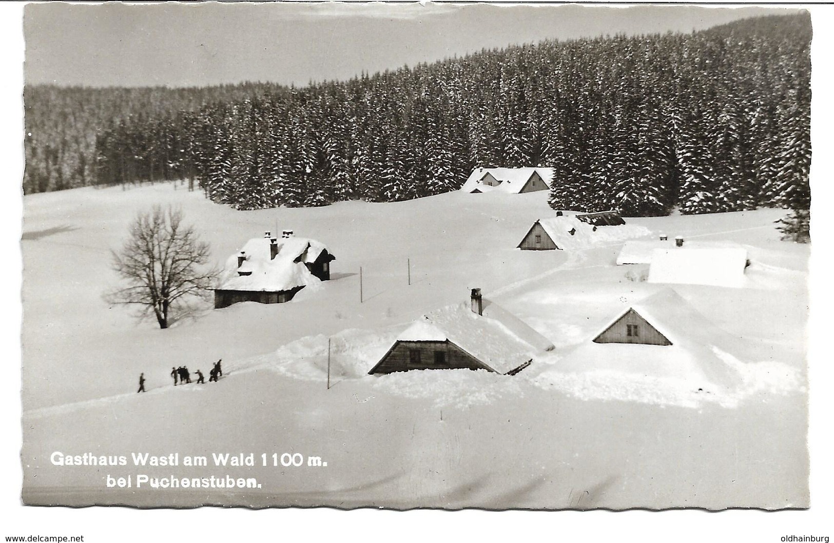 3074m: AK 3214 Puchenstuben, Gasthaus Wastl Am Wald, Ca. 1950 - Scheibbs