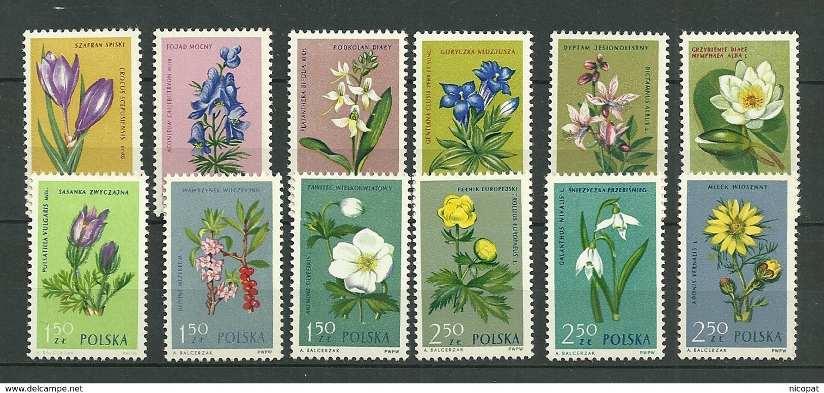 POLAND MNH ** 1185-1196 PLANTES. FLEURS Crocus Anémone Orchidées Gentiane Flower - Unused Stamps