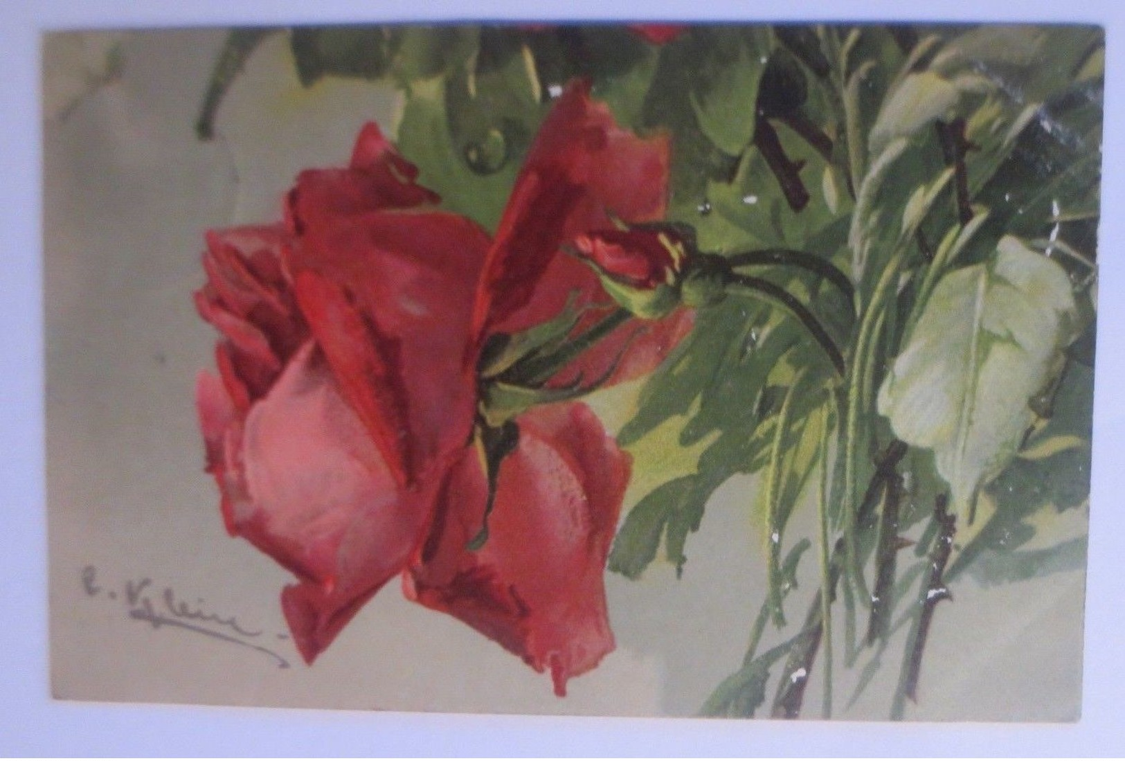 Blumen, Rosen,    1906, C. Klein ♥  (66701) - Klein, Catharina