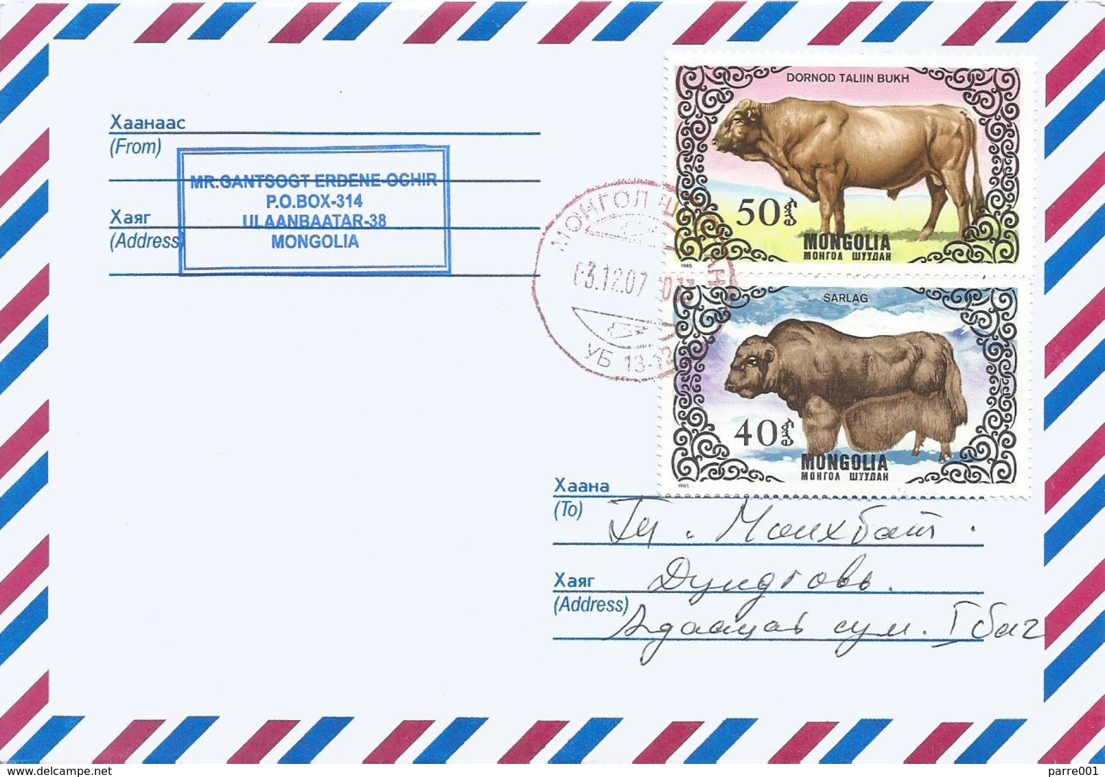 Mongolia 2014 Ulaanbaatar Cow Dornod Talin Bukh Yak Bos Mutus Domestic Cover - Koeien