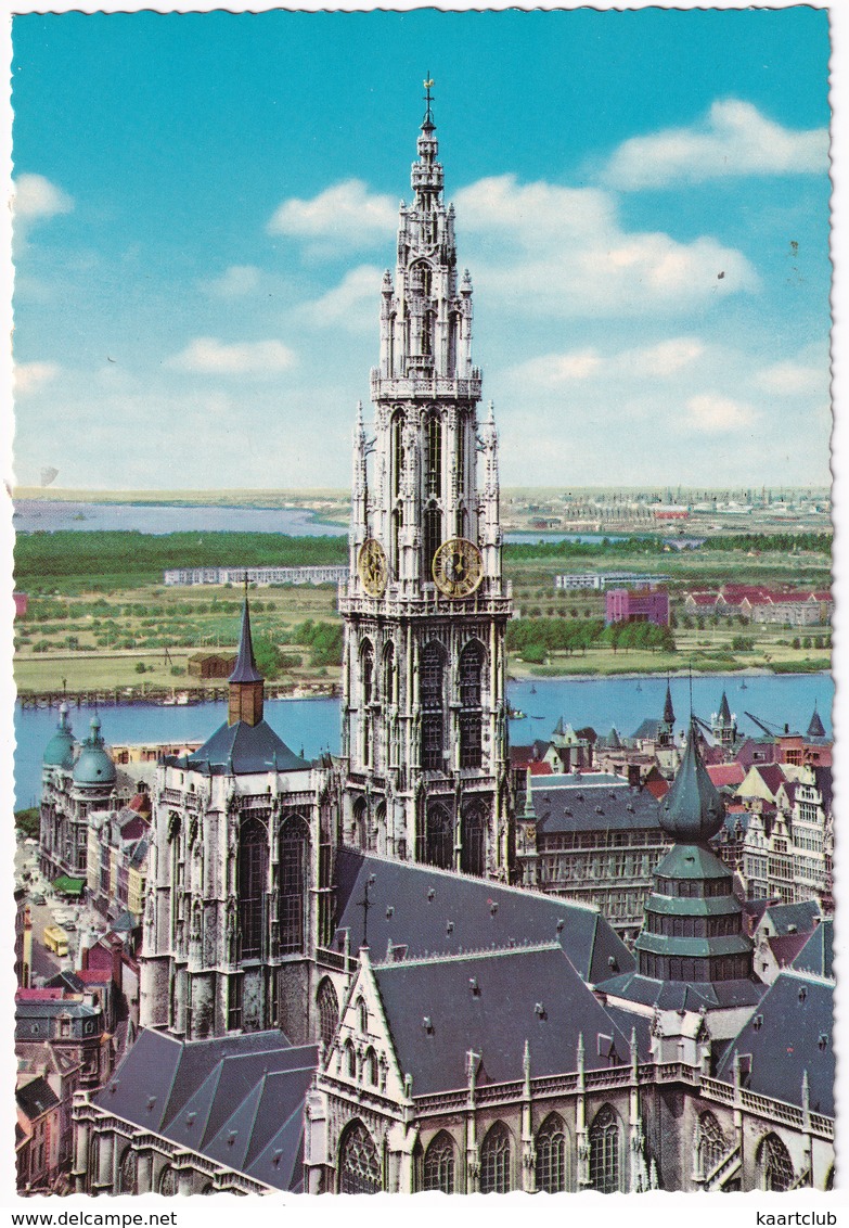 Antwerpen - O.L.V. Kathedraal - Cathédrale De Notre-Dame - Anvers -  (Belgique/België) - Antwerpen