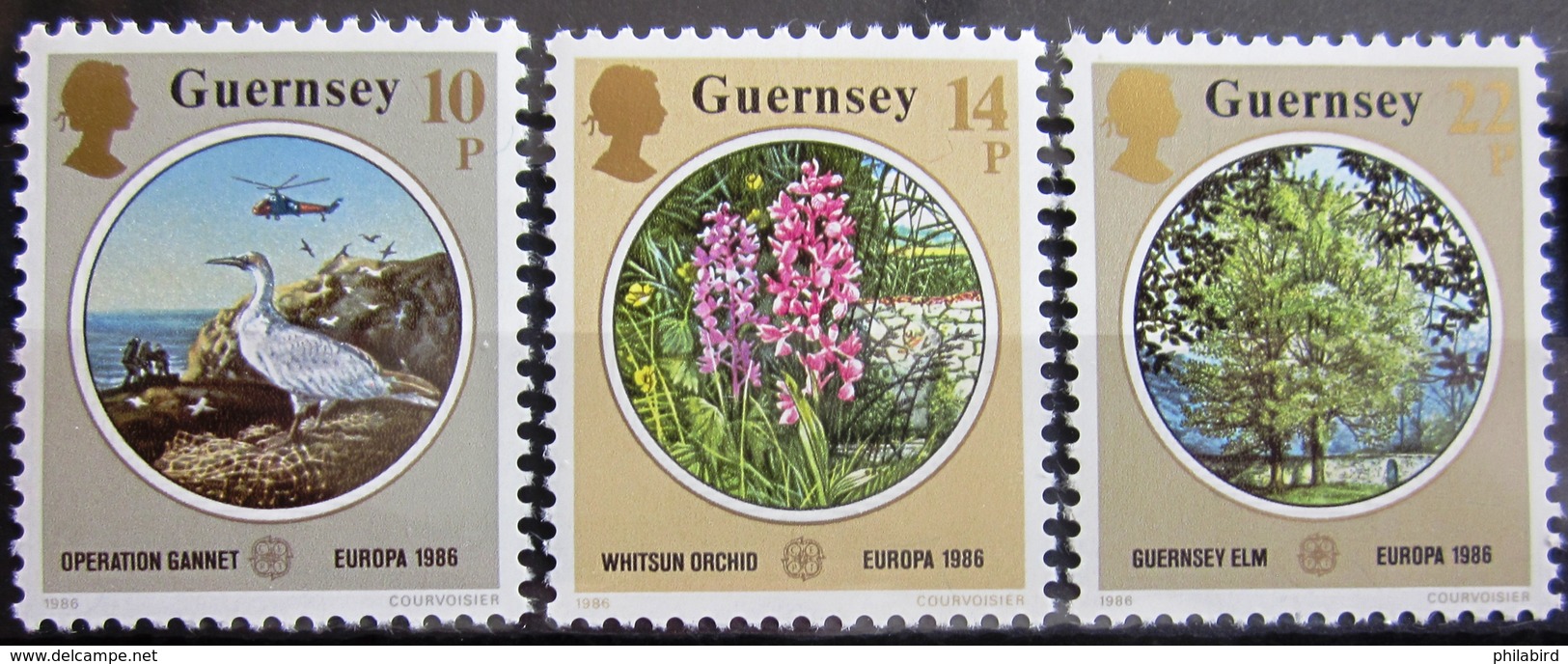 EUROPA            Année 1986         GUERNESEY           N° 359/351             NEUF** - 1986