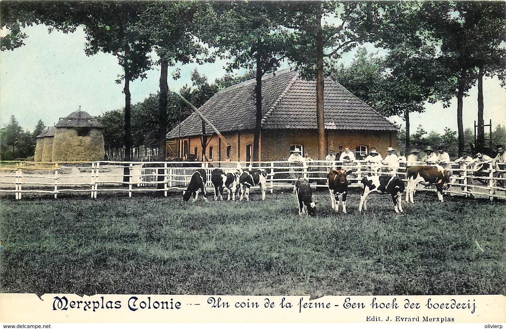 Belgique - Merksplas - Merxplas  Colonie - Un Coin De La Ferme - Een Hoek Der Boerderij - Douleurs - Merksplas