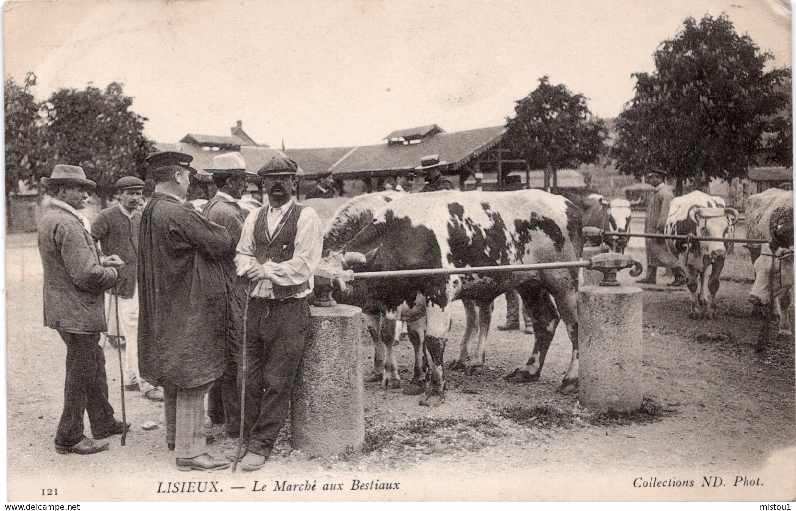 Lisieux - Le Marché Aux Bestiaux- 1904 - - Lisieux