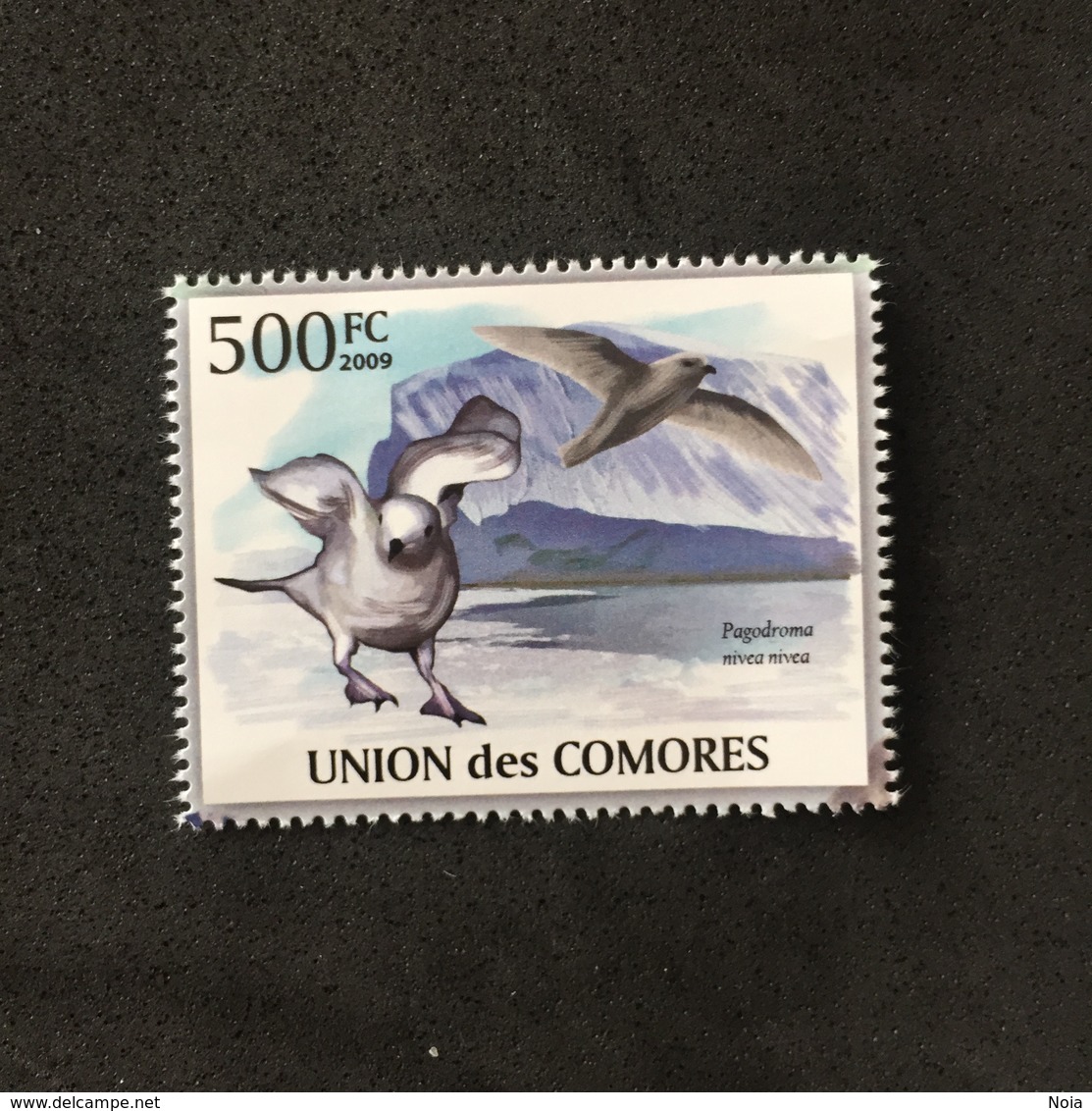 UNION DES COMORES. POLAR PHILATELY. MNH. D2805B - Seagulls