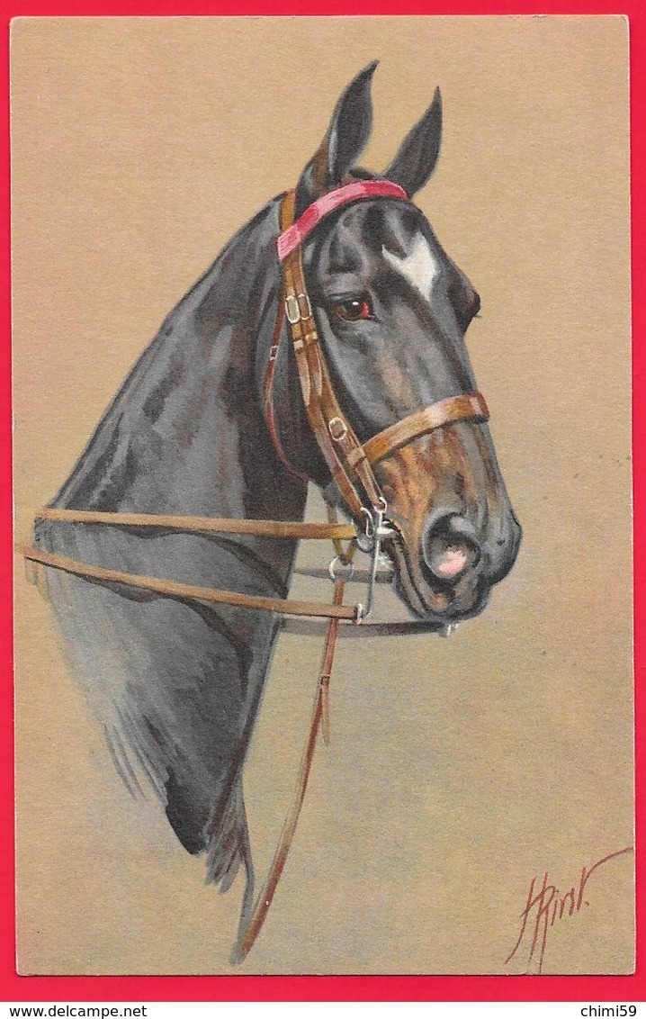 CAVALLO - CHEVAL - CHEVAUX - HORSES - PFERD - Caballos