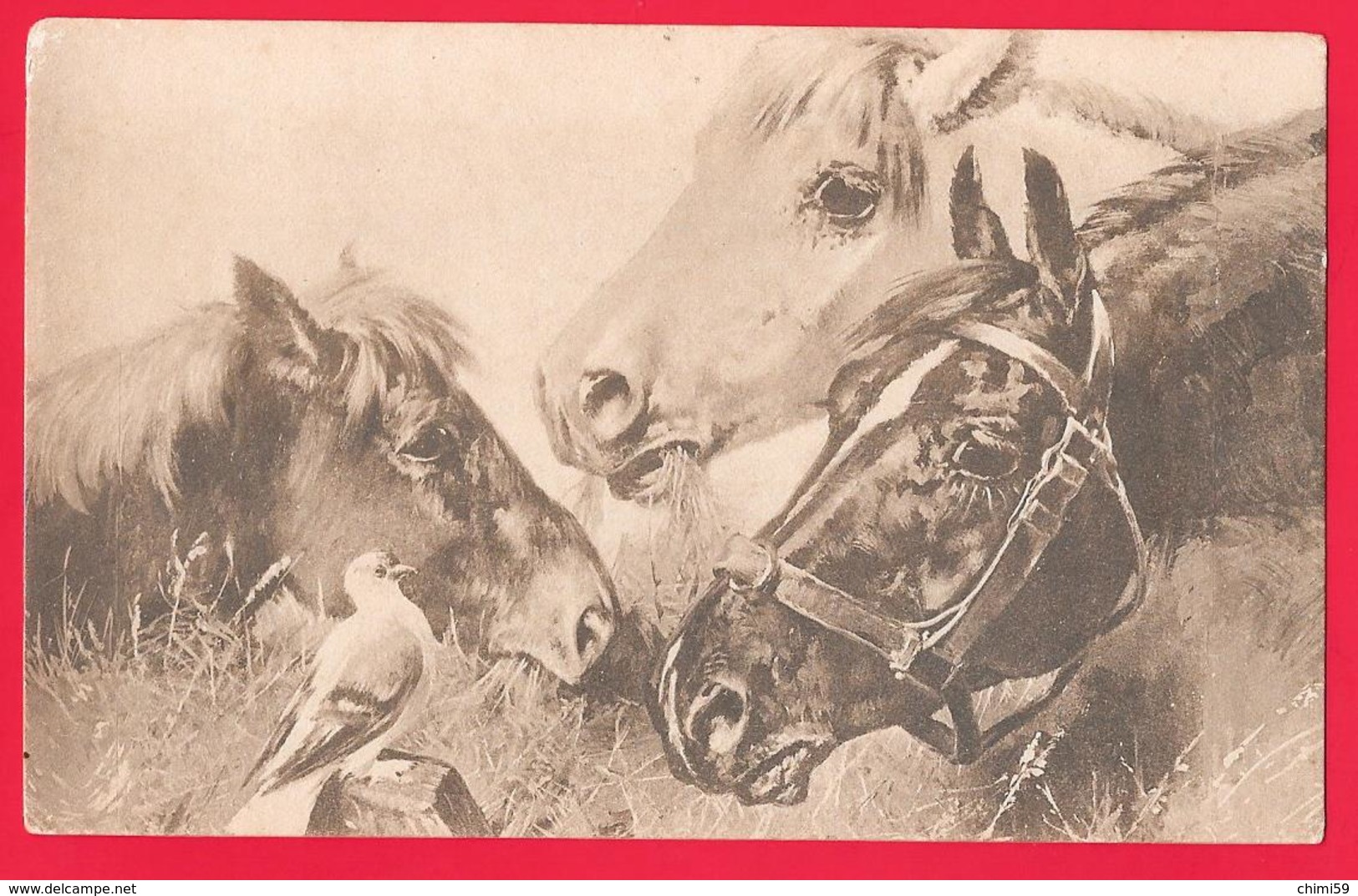 CAVALLO - CHEVAL - CHEVAUX - HORSES - PFERD - Pferde