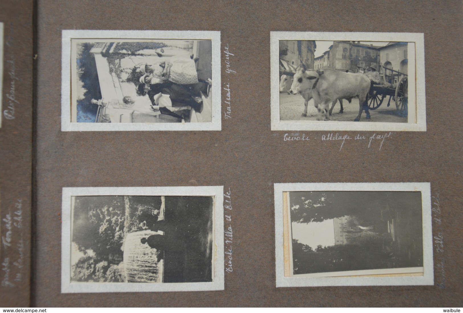 Album Complet 1921 Photos (6.5 X 4) Gênes Rome Florence Capri Venise Tivoli Tyrol - Album & Collezioni
