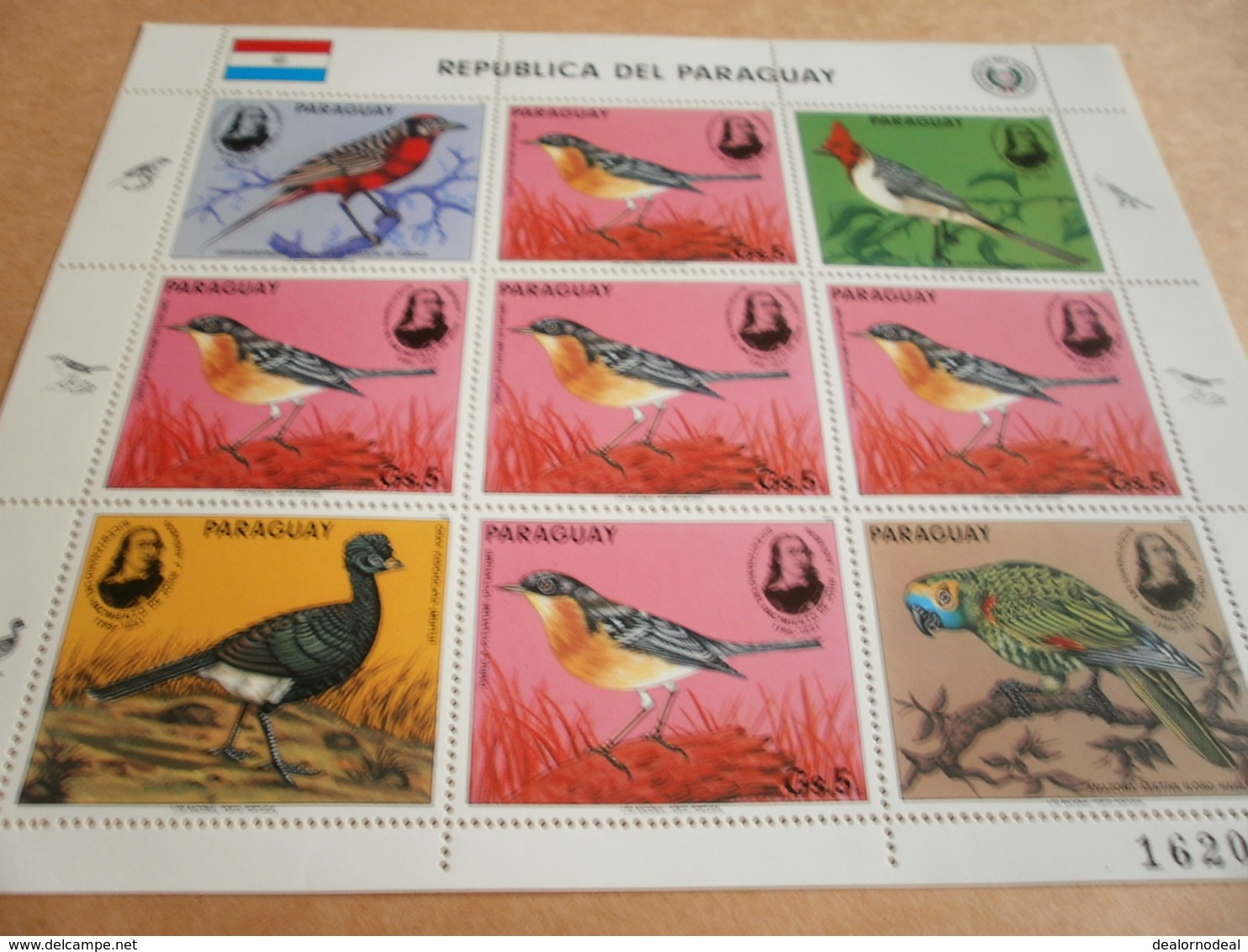 Sheetlet Paraguay 1985 Birds - Paraguay