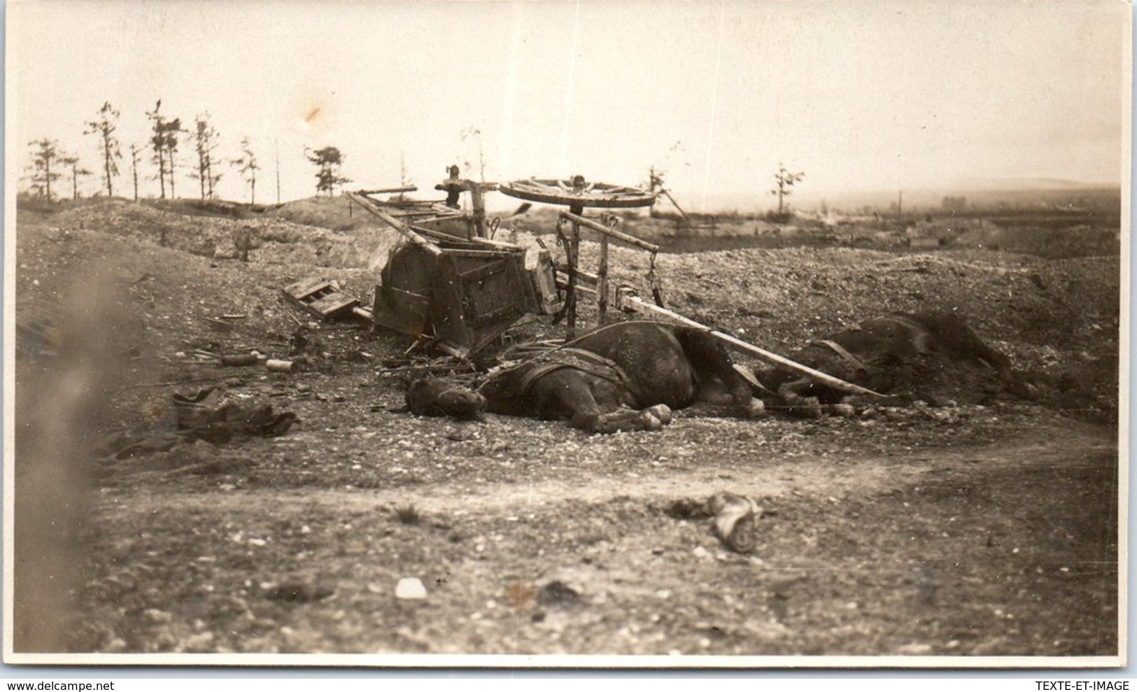 MILITARIA 1914-1918 - PHOTOGRAPHIE - Attelage Allemand Devant Ste Marie [157X94] - Guerre, Militaire